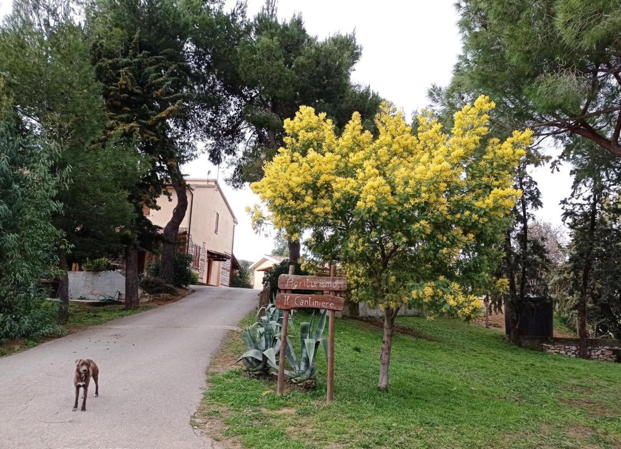 Agriturismo Il Cantiniere 그레세토 외부 사진