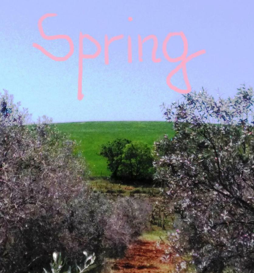 Agriturismo Il Cantiniere 그레세토 외부 사진