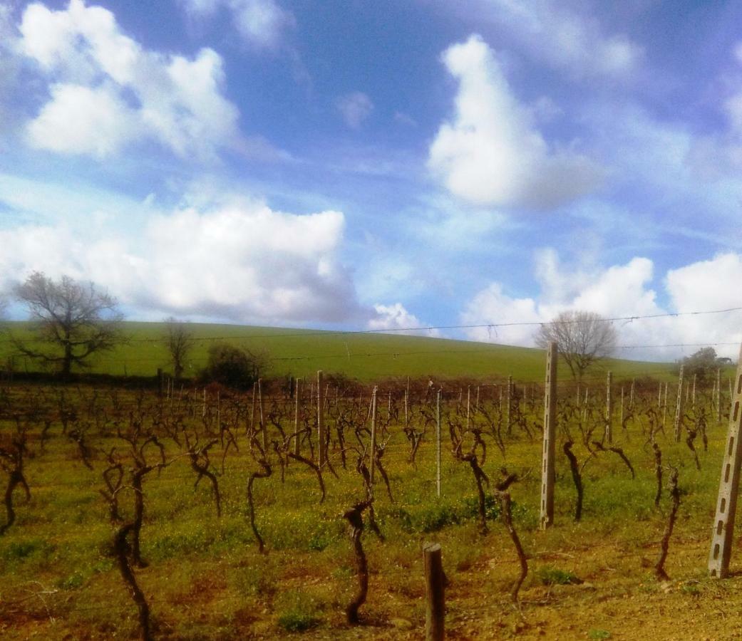 Agriturismo Il Cantiniere 그레세토 외부 사진